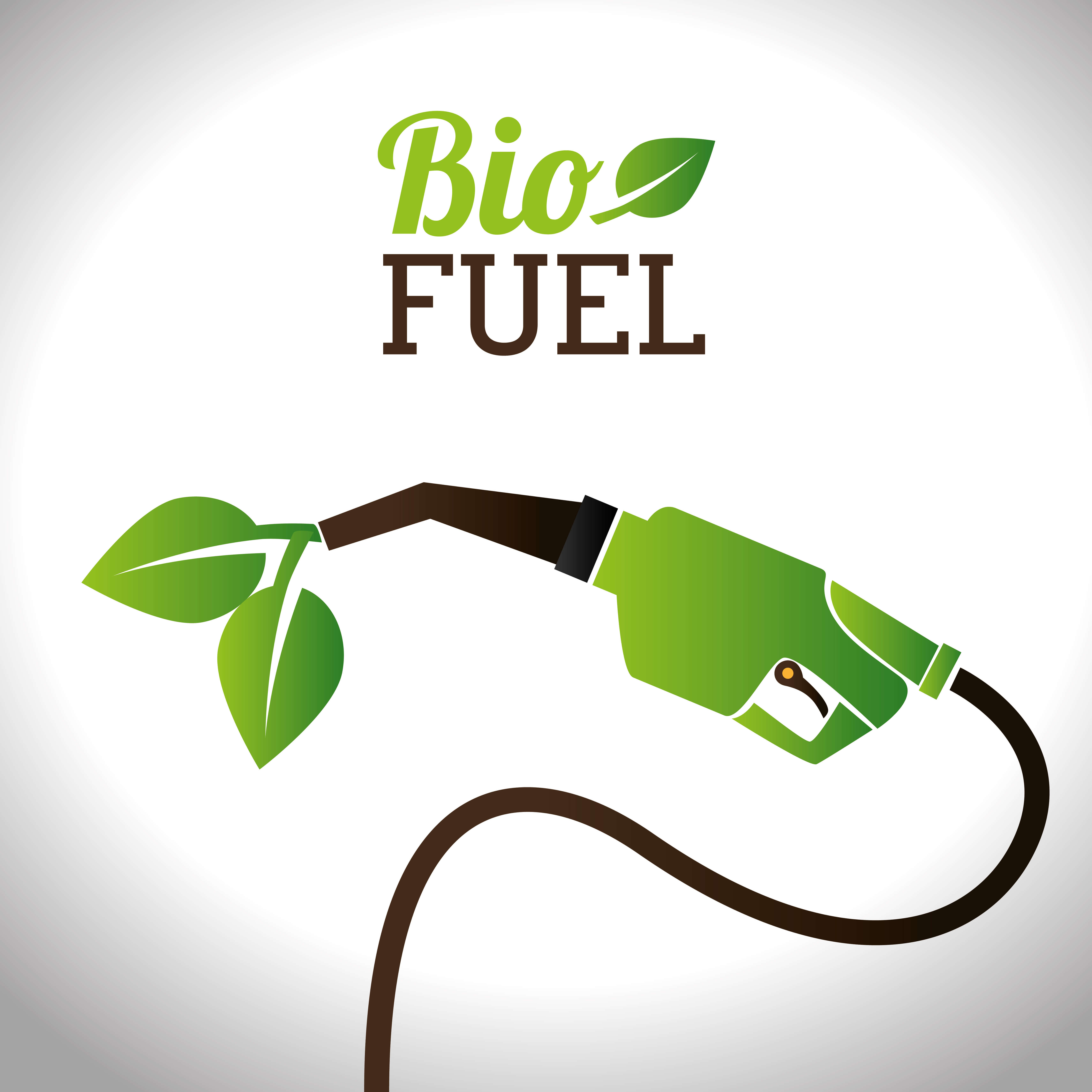 Bio fuel. Illustration: shutterstock