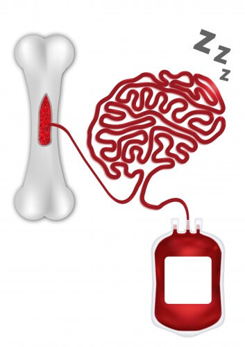 This is how sleep affects the migration of stem cells in the context of bone marrow donation. Illustration: Dima Abelsky
