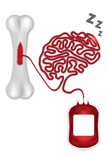 هذه هي الطريقة التي يؤثر بها النوم على هجرة الخلايا الجذعية في سياق التبرع بنخاع العظم. رسم توضيحي: ديما أبيلسكي