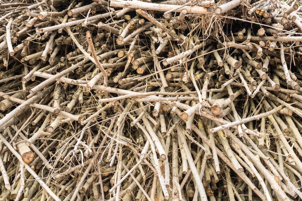 Biomass from wood waste. Photo: shutterstock