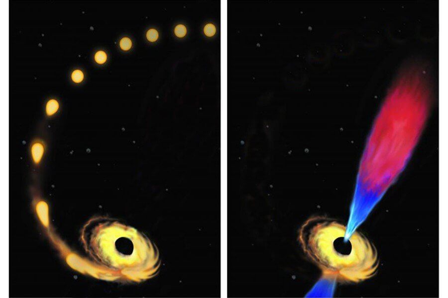 תפיסת האמן של כוכב נמשך לתוך חור שחור ונהרס (משמאל), והחור השחור הפולט מאוחר יותר "סילון" של הפלזמה המורכבת מהשאריות מהרס הכוכב. איור: אמדאו בכר, אוניברסיטת ג'ונס הופקינס.