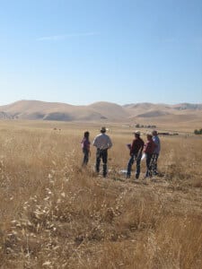 Ground monitoring of pastures takes a long time and requires a lot of resources. The research area at the Simon Newman Ranch in California. Photo: Miri Tzlock