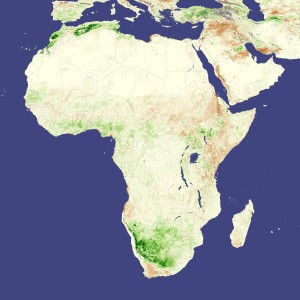 בצורת באפריקה בשנת 2006: שטחים שבהם יש צמחייה שופעת נראים בירוק, אזורים שבהם הצמחייה בריאה ומשגשגת פחות הם חומים. צילום: NASA image created by Jesse Allen, using data provided courtesy of Jennifer Small, NASA GIMMS Group at Goddard Space Flight Center
