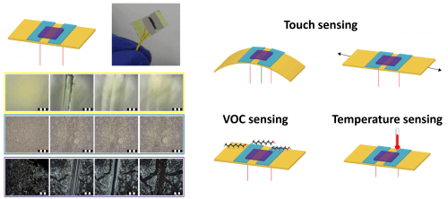 2. Imaging image. Right: Schematic drawing of the various sensing operations of the platform - touch, heat and volatile particles. Left: photograph and diagram of the chemical resistor; Below: the different parts of the sensor (substrate, electrode and the nanometer sensing layer) before and after a directed scratch. Within 10 minutes the sensor begins to repair itself and return to normal work. Courtesy of Prof. Hosem Haik, Technion