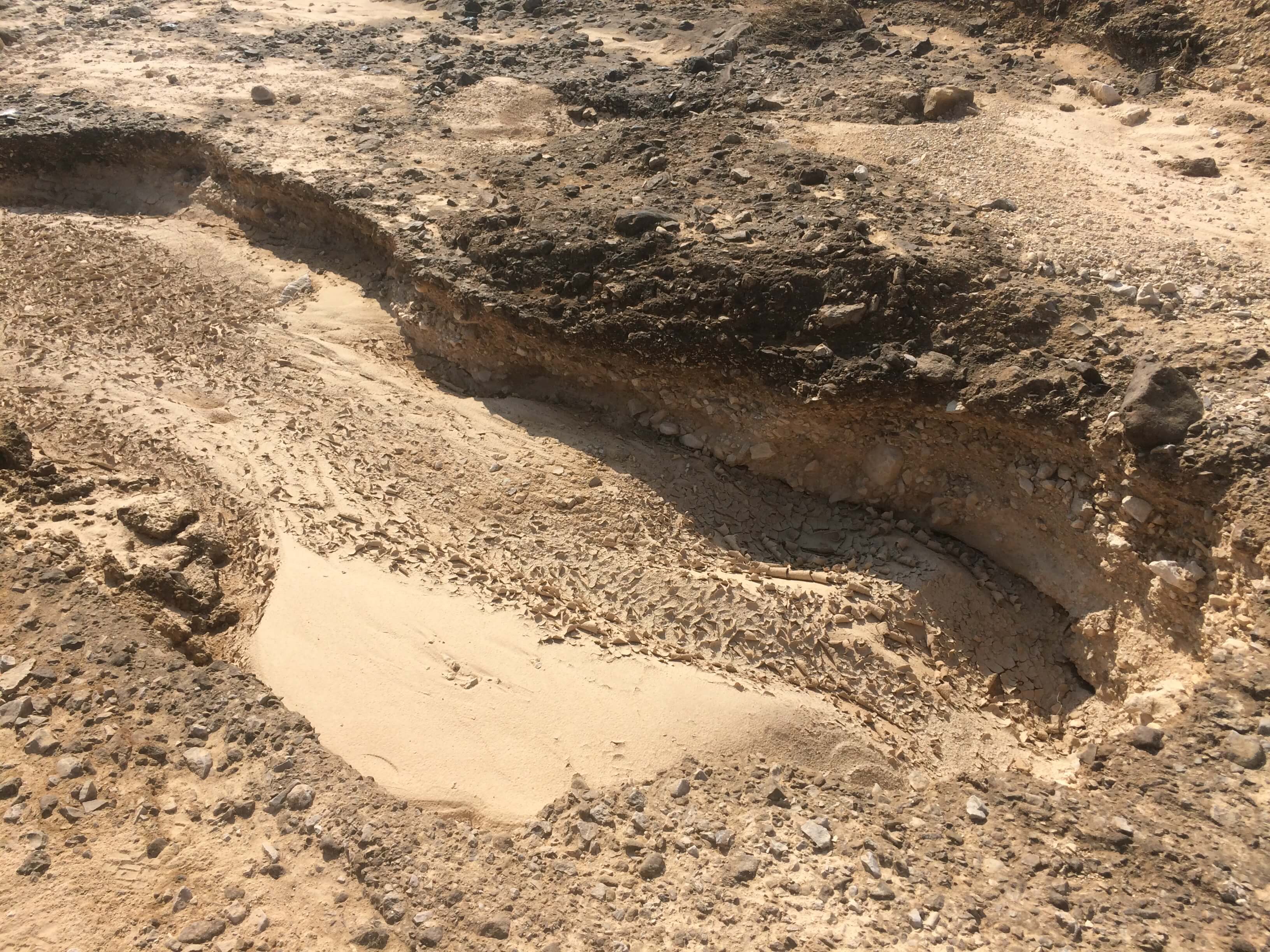 Evrona Reserve a year after the leak. Photo: Oded Netzer, Ministry of Environmental Protection.