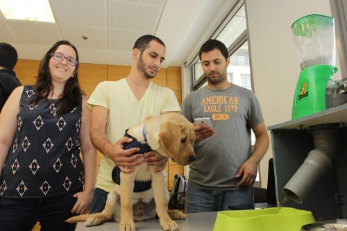 Maoz Elbaz, Nir Cohen and Shir Zviel - Technion students who developed a system for feeding the dog remotely together with the guide dog Luke, who served as their experimenter. Photo: Technion spokespeople