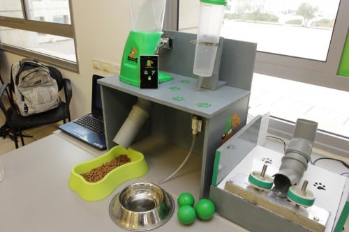 A system for remote care of a dog. Photo: Technion spokespeople.