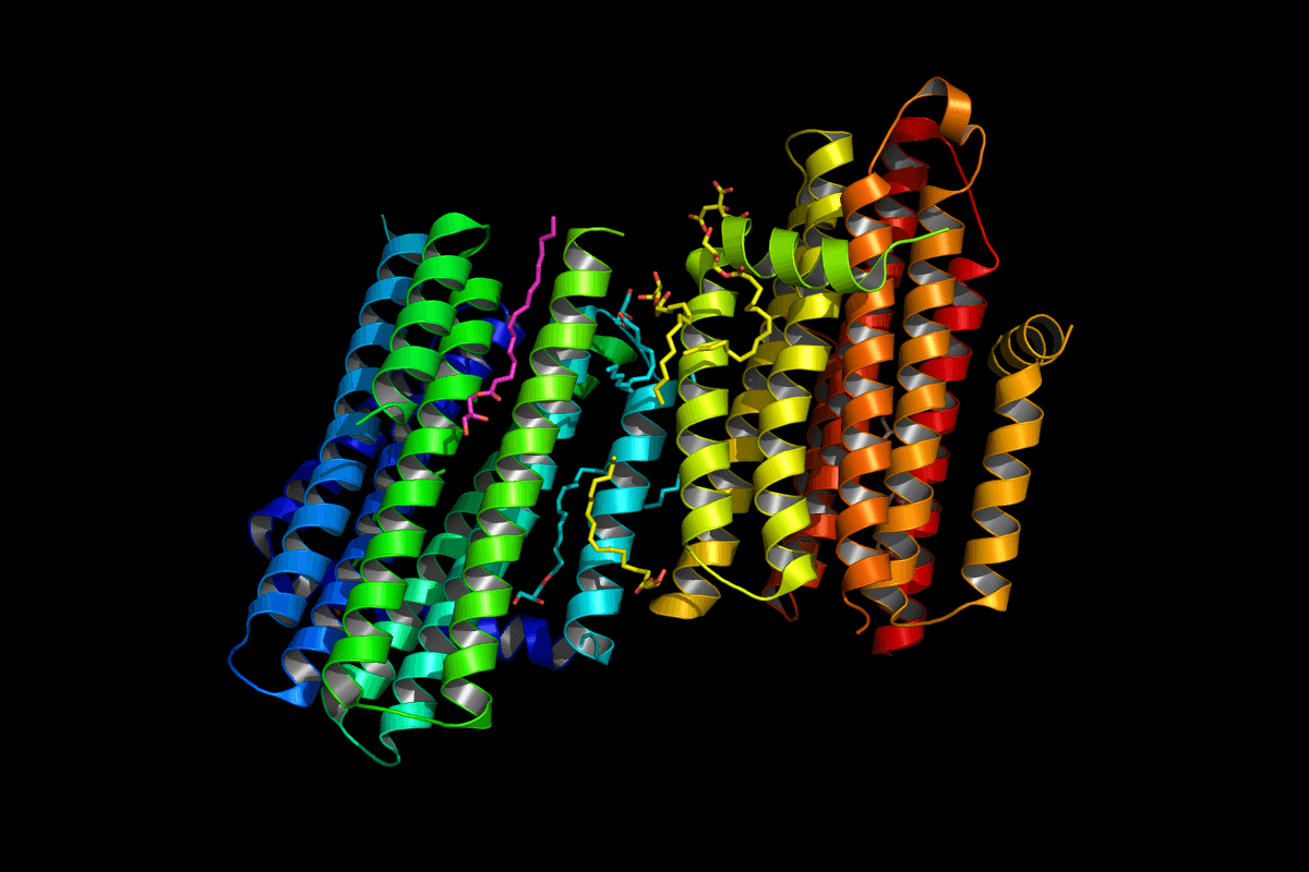 The structure of the enzyme Diacylglycerol kinase as determined at the particle accelerator at Stanford University. [Courtesy: The Biodesign Institute at Arizona State University]