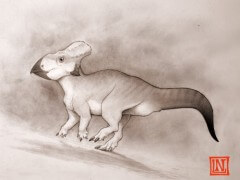 דינוזאור מקורנן, חי ביבשת "מזרח צפון אמריקה" שהיתה מבודדת מהמערב על ידי ים שחצה את אמריקה לשניים. איור: אוניברסיטת באת'