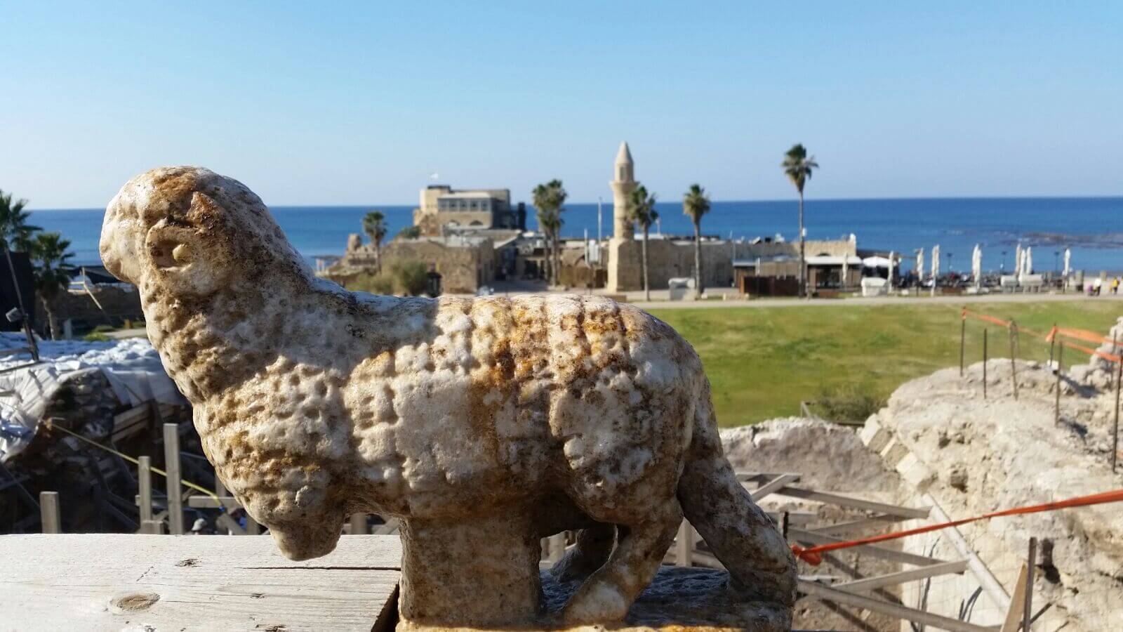 The ram statue discovered in Caesarea, December 2015. Photo: Vared Sharig, Caesarea Port