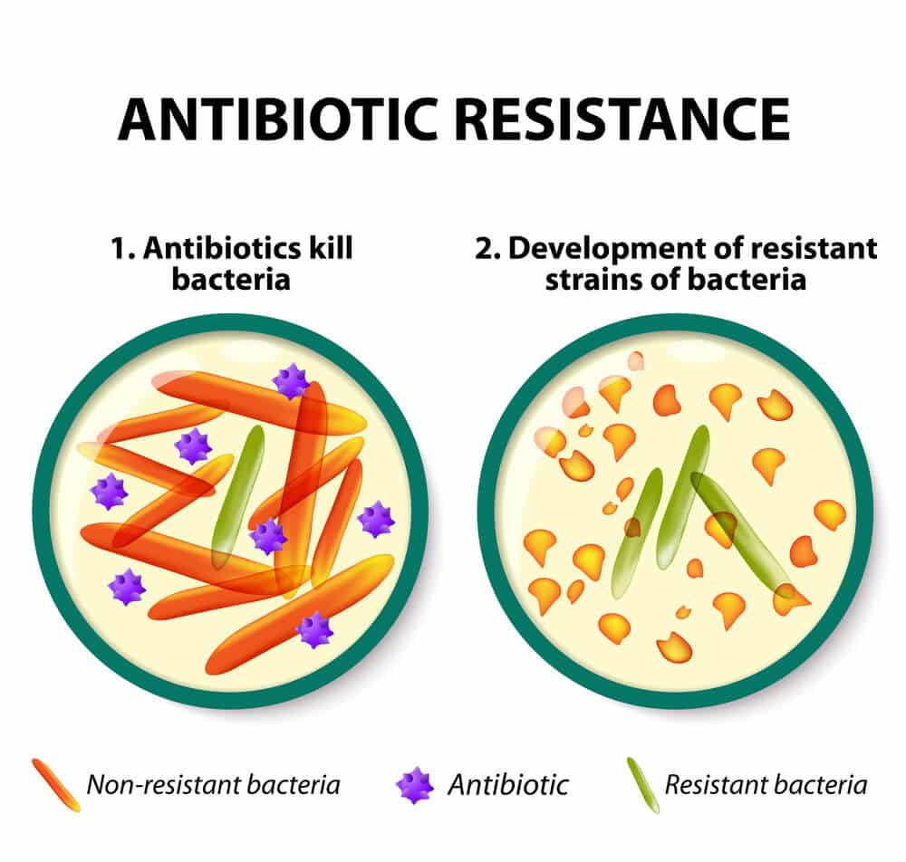 Bacterial resistance to antibiotics