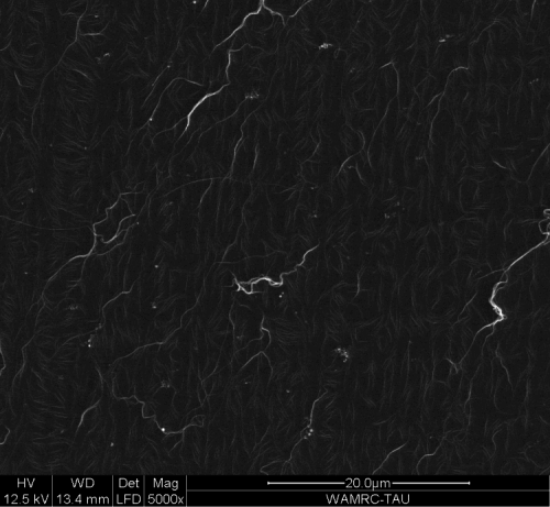 : silver and gold metal nanowires inside the growth solution. Photo: Prof. Gil Markovich, Tel Aviv University