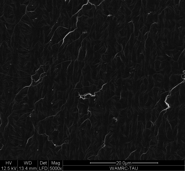 : silver and gold metal nanowires inside the growth solution. Photo: Prof. Gil Markovich, Tel Aviv University