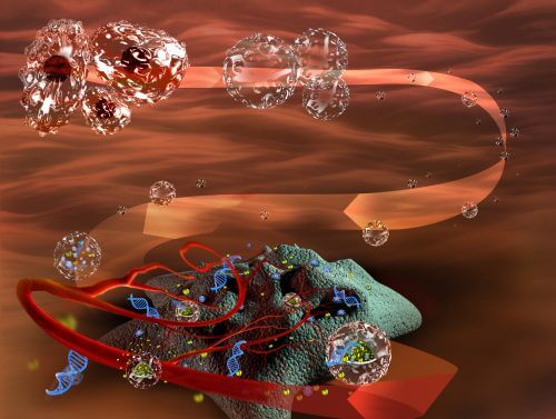 Whole stem cells (top left) are drained of their contents (the process is depicted in the direction of the arrow), reduced in the laboratory to nanometer size (nanometer ghosts), and loaded with nucleic acids (in blue). Those nano-ghosts are injected into the patient and through the blood vessels (in red) they reach the tumor (in green) specifically, and only there they unload their cargo, leading to the creation of the anti-cancer drug.