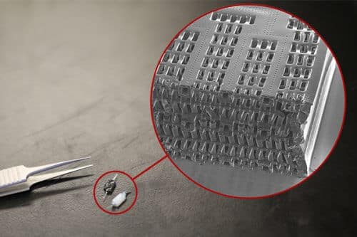 These tiny polymer scaffolds include channels 100 micrometers wide, about the width of a human hair. When live cells are added to the content, the channels serve as artificial blood vessels. By mimicking human tissues of organs such as liver and heart, these scaffolds provide an innovative method for testing new drugs with the aim of reducing their dangerous side effects. [Courtesy: Tyler Irving/Boyang Zhang/Kevin Soobrian]