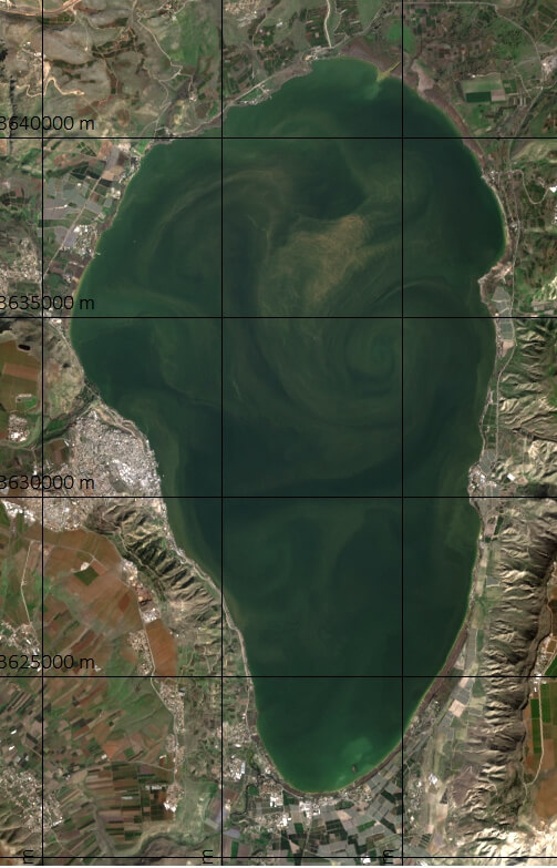 A satellite image from February 3, 2016 that shows the widespread distribution of the blueberry bloom in the Sea of ​​Galilee. Photo: Dr. Gideon Tibor, Israel