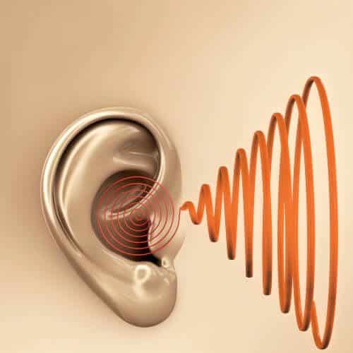 sense of hearing. Illustration: shutterstock