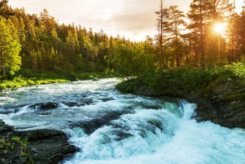 نهر في النرويج - مياه سريعة. الصورة: شترستوك