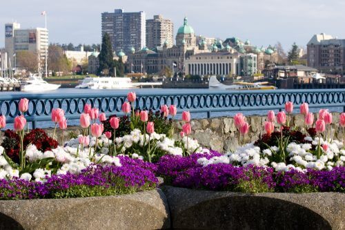 Victoria - British Columbia. Photo: shutterstock