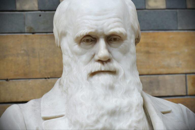 Charles Darwin statue, UK. Photo: shutterstock