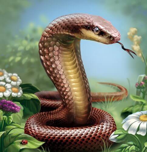 snake. Illustration: shutterstock