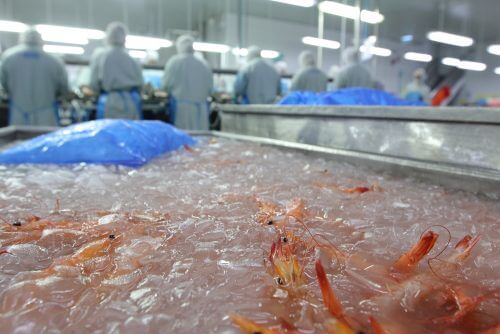 Crab breeding pond. Photo: shutterstock