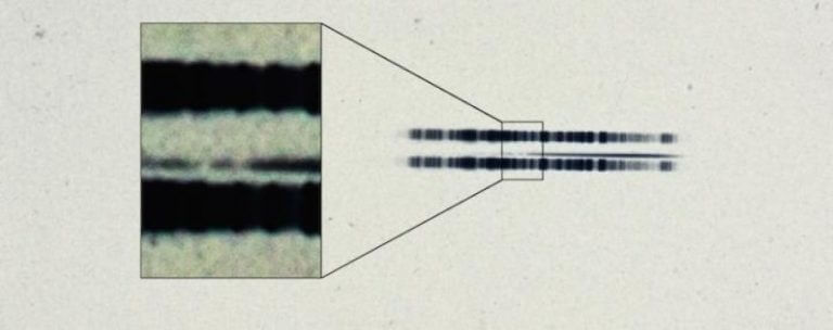 ספקטרום לוח צילום אסטרונומי משנת 1917 של הכוכב ואן מינן מארכיון קרנגי. התיבה הנשלפת מציגה את הקווים החזקים של היסוד סידן, אשר מפתיע לראות אותם בספקטרום בן מאה שנים. הספקטרום הוא דק (בעיקר) קו כהה במרכז התמונה. השלוחות הכהות הרחבות מעל ומתחת לקו הספקטרום מקורם בנורות בהם השתמשו באותה תקופה כדי לכייל את התמונה. בתמונה זו הם מופיעים בניגודיות כדי להדגיש את שני קווי הפליטה החסרים בכוכב. צילום: מכון קרנגי למדע