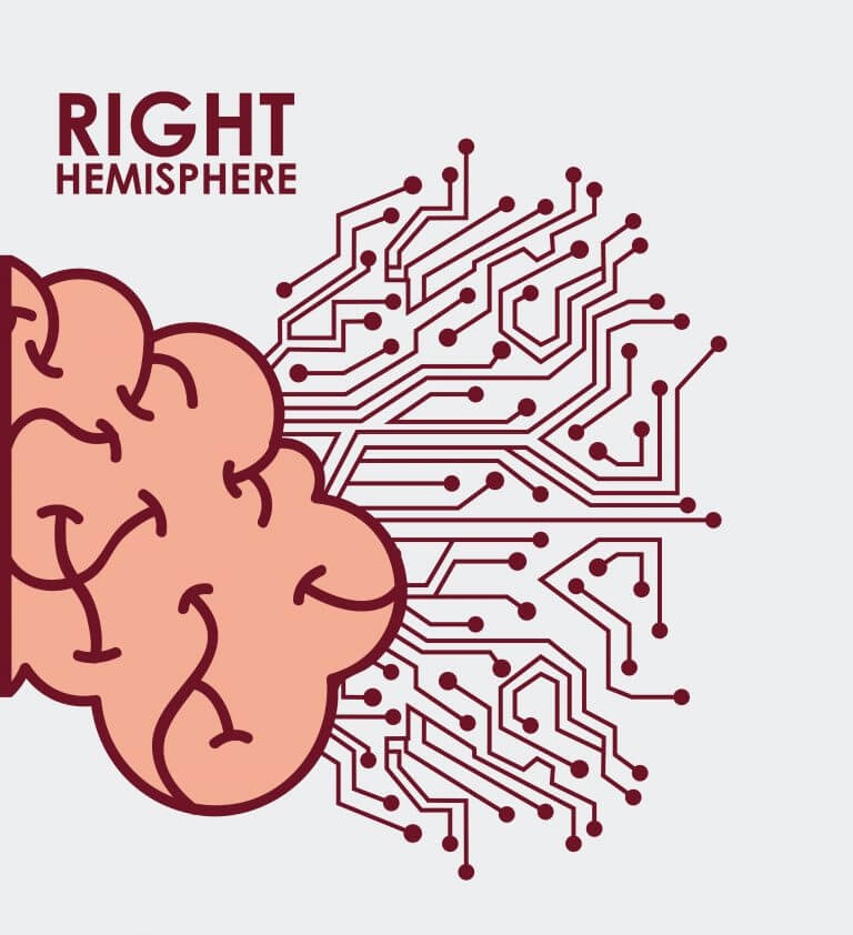 The right hemisphere of the brain. Illustration: shutterstock