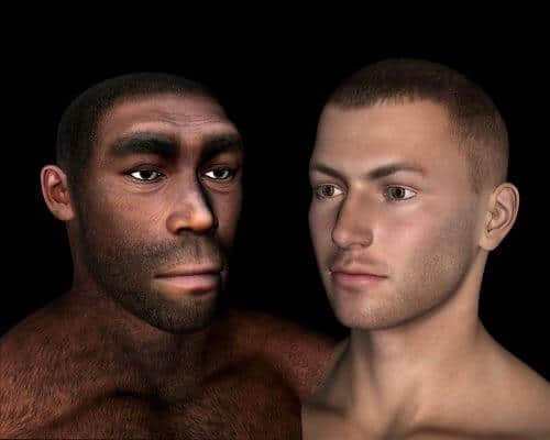 Comparison between modern man and Homo erectus. Illustration: shutterstock