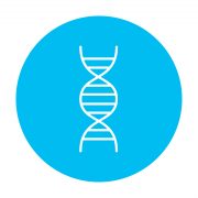 DNA מינימאלי. אילוסטרציה: shutterstock