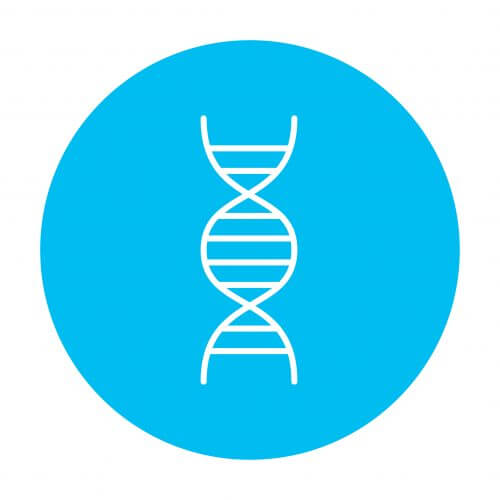 DNA מינימאלי. אילוסטרציה: shutterstock