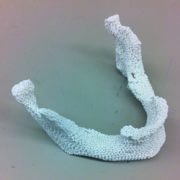 דוגמת פיגום של עצם שהודפסה בעזרת מדפסת תלת-מימדית [באדיבות: Johns Hopkins Medicine]