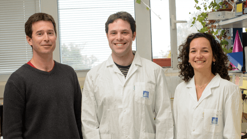 From the right: Maya Shamir, Daniel Dar and Prof. Rotem Sorek. short coils