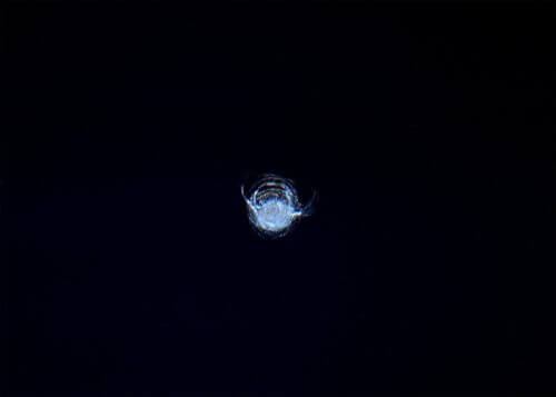 סדק באחד מחלונות יחידת התצפית "קופולה" של תחנת החלל הבינלאומית, בצילום של האסטרונאוט טים פיק. מקור: סוכנות החלל האירופאית.