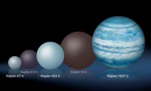 This is a comparison of the relative sizes of the planets discovered by the Kepler space telescope that reside in a binary star system. Kepler 1647b is significantly larger than all the planets discovered so far in systems of this type. Illustration: Lynette Cook