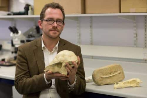 Dr Nick Longrich from the Milner Center for the Study of Evolution. Photo: Anthony Prothero, University of Bath