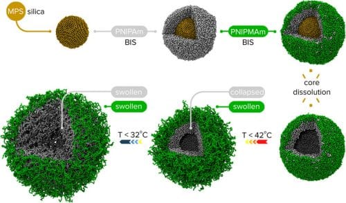 A method for preparing drug carriers and their nanometric structure. The capture and release of the drug depends on the temperature surrounding the carrier system. [Courtesy: Igor Potemkin/Scientific Reports]