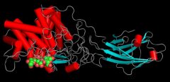 Cellulase 1JS4, a common enzyme found in detergents Credit: Pratulka/cc.