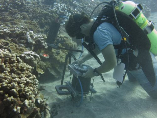 צולל מצלם באמצעות המיקרוסקופ. צילום: Scripps Institution of Oceanography