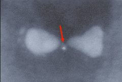 ננו-מבנה מכסף בצורת "עניבת פרפר", עם נקודה קוונטית לכודה במרכזו (חץ אדום). צולם באמצעות מיקרוסקופ אלקטרונים