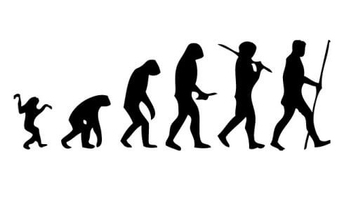 سلسلة التطور من القرد إلى الإنسان. لطيفة ولكن ليست بهذه الدقة. من ويكيبيديا