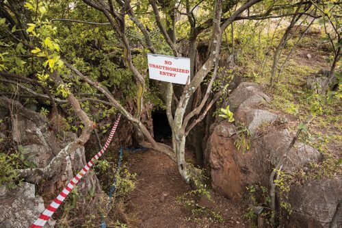 בור באדמה: מאובני הומו נַאלֶדי התגלו במערה בדרום אפריקה, באזור שנודע כערש המין האנושי. (הצילום באדיבות ג'ון הוקס מאוניברסיטת ויסקונסין-מדיסון, ואוניברסיטת ויטווטרסרנד)