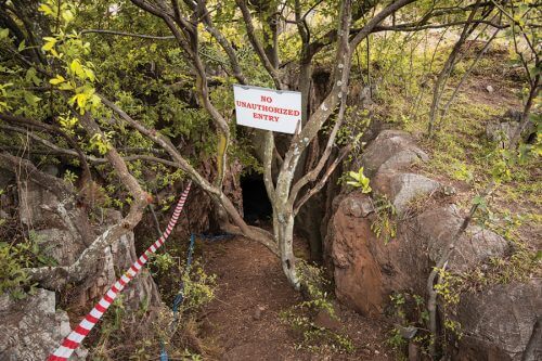 Pit in the ground: Homo Naledi fossils were discovered in a cave in South Africa, in an area known as the cradle of the human race. (Photograph courtesy of John Hawkes of the University of Wisconsin-Madison, and the University of the Witwatersrand)