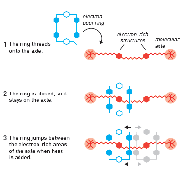 Fraser Stoddart created a molecular elevator capable of moving along an axis in a controlled manner. The ring is threaded into the axle. The ring closes and thus it remains threaded in the axle. The ring jumps between electron-rich regions of the axis as a function of temperature.