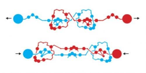 The nanocar consisting of a molecular chassis and a molecular motor that can rotate. From the Nobel Prize website.