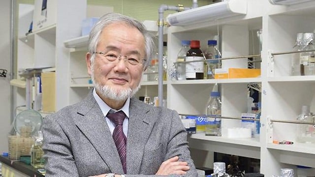 יושינורי אושומי. חתן פרס נובל לרפואה לשנת 2016. צילום יח"צ אוניברסיטת טוקיו