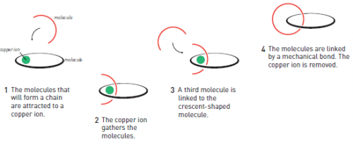 איור 1. החוקר ז'אן פייר סוואג' השתמש ביון נחושת על מנת לשלב מולקולות בעזרת קשר מכאני. 1.המולקולות שירכיבו את השרשרת נמשכות ליון הנחושת. 2. יון הנחושת מקרב אליו את שתי המולקולות. 3. מולקולה שלישית נקשרת למולקולה שצורתה סהרון. 4. המולקולות מחוברות על ידי קשר מכאני. יון הנחושת מורחק.