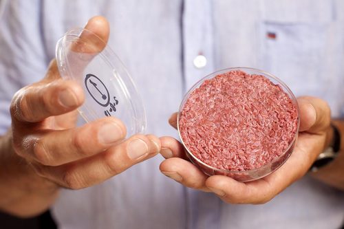 اللحوم المستنبتة المقدمة عام 2013. هل سينقذ العالم؟ الصورة: جامعة ماستريخت.