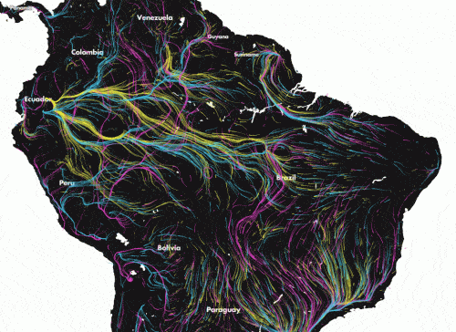 מפת נדידת המינים המשוערת בדרם אמריקה. מקור: האתר migration in motion.