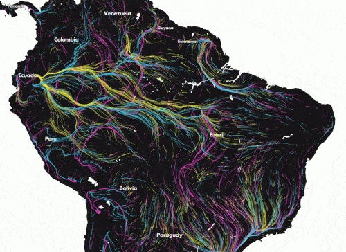 Map of estimated species migration in South America. Source: the migration in motion website.